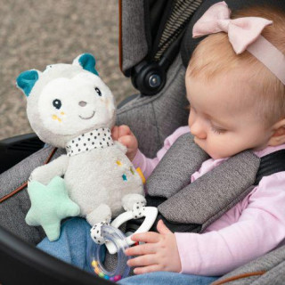 Aktivity kočička, Aiko & Yuki