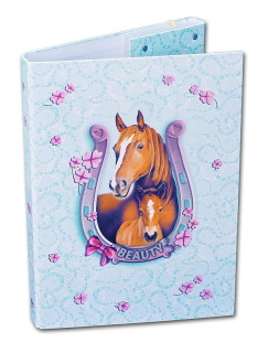 Desky na sešity Heftbox A4 Beauty Emipo