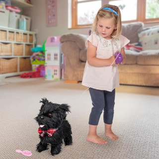 Pejsek Scoty na vodítku