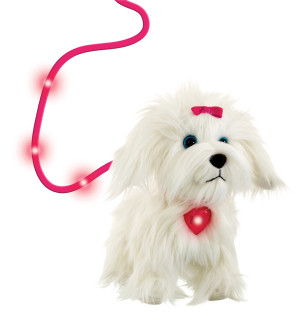 Pejsek Fluffy na vodítku