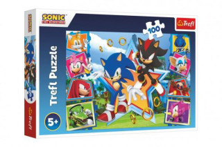 Puzzle Seznamte se se Sonicem/Sonic the Hedgehog 100 dílků 41x27,5cm