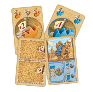 Velbloudí dostihy na cesty - Albi