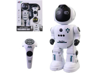 Robot na ovládání