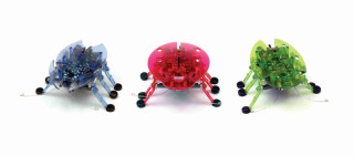 Robotický brouk HEXBUG Beetle