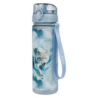 Tritanová láhev na pití Polar 500 ml Baagl