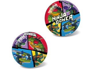 Míč Ninja 23 cm