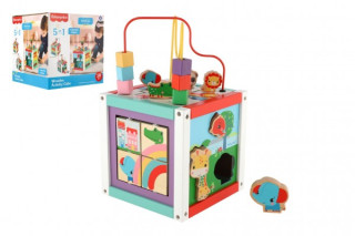 Edukační kostka 5v1 dřevo labyrint