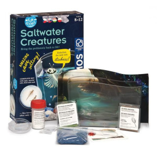 FS Mořští korýši



