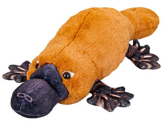 Ptakopysk plyšový 50 cm ležící 0 m+