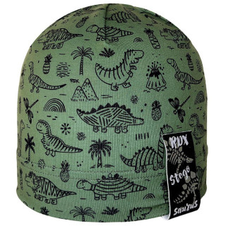 Chlapecká čepice s logem Dinošci zelená RDX