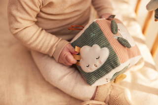 Kostka textilní Lovely Birds Jollein