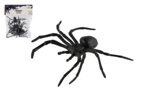 Pavouk černý 5 ks