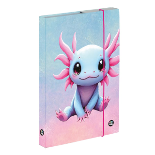 Box na sešity A5 Axolotl