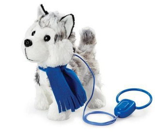 Štěňátko na procházce - Husky