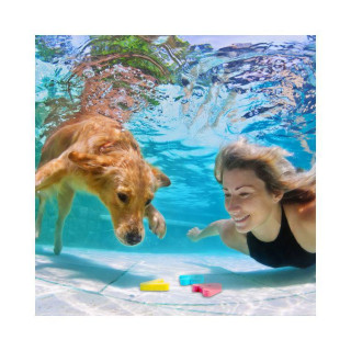 Podvodní písmenka Albi