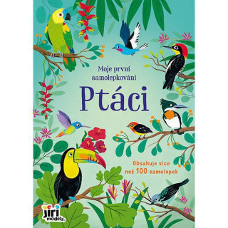 Moje první samolepkování Ptáci