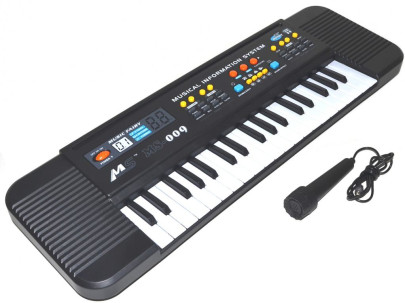 Klávesy s mikrofonem 54 cm