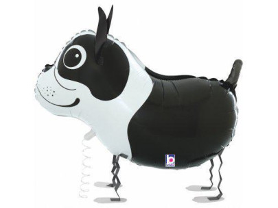 Fóliový balónek nafukovací chodící Bostonský teriér 19"/48 cm