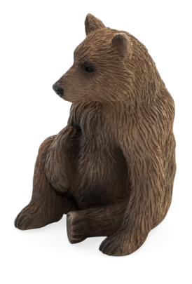 Mojo Medvěd grizzly mládě