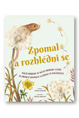 Kniha Zpomal a rozhlédni se