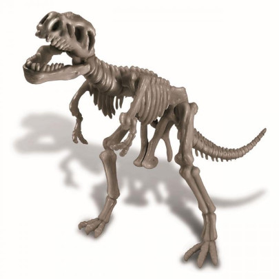 4M Dinosauří kostra - Rex