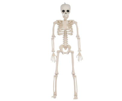 Dekorace Halloween kostlivec 45 cm na zavěšení