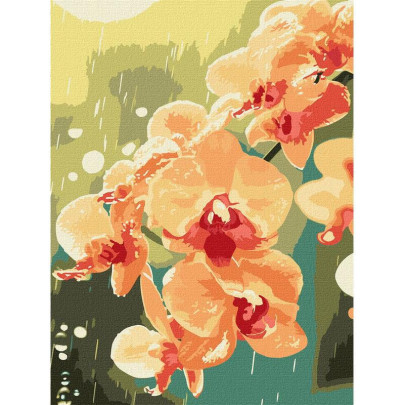 Malování podle čísel - Orchidej 30 x 40 cm