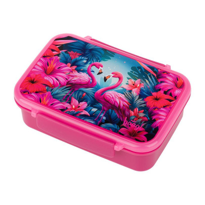 Box na svačinu s přihrádkami Flamingo Baagl