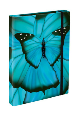 Desky na školní sešity A4 Butterfly Baagl
