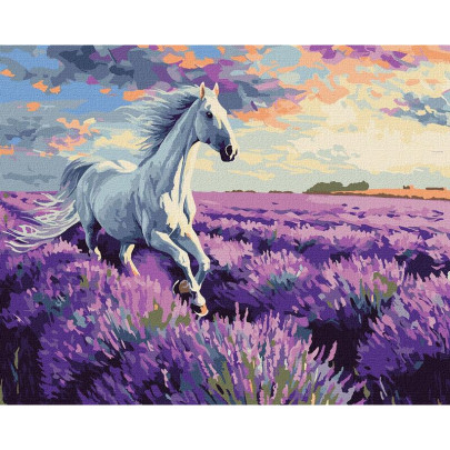 Malování podle čísel - Kůň v levandulovém poli 40 x 50 cm