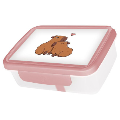 Zdravá sváča box Kapybary