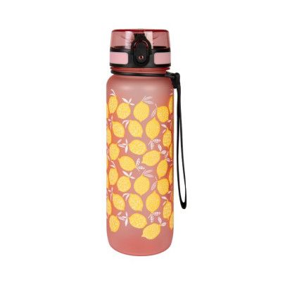 Sportovní láhev 800 ml Albi