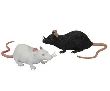Gumová strečová myš