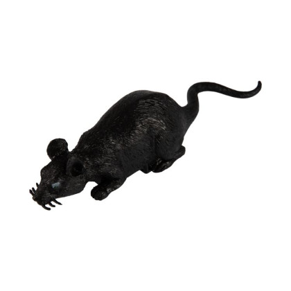 Běžící krysa Albi