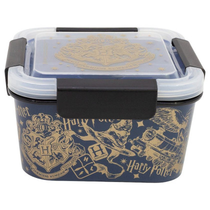 Box na salát To Go 1810 ml Harry Potter