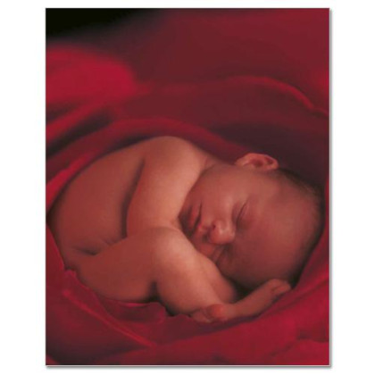 Kniha Mých Prvních Pět Let Anne Geddes - Růže - X-Large