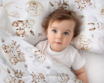Mantinel s povlečením do postýlky 3dílná sada Sny zvířátek Baby Nellys