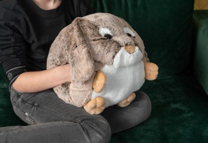 Hřejivý plyšový polštář 3 v 1 Cozy Noxxiez
