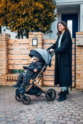 Sportovní kočárek Estelle Dakar černý Ginko MoMi