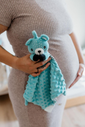 Usínáček babyted kousátko, chrastítko plyš 25x25 cm 0 m+