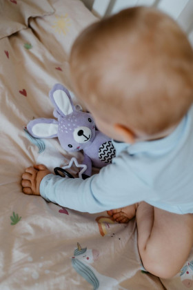 Chrastítko plyš 30 cm závěs na postýlku/kočárek 0 m+ babyted