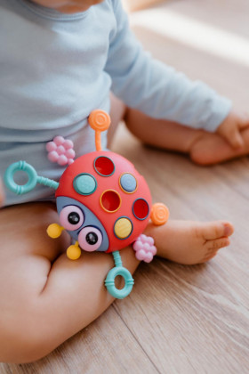 Tahoulíček beruška plast 15 x 11 cm Babyted