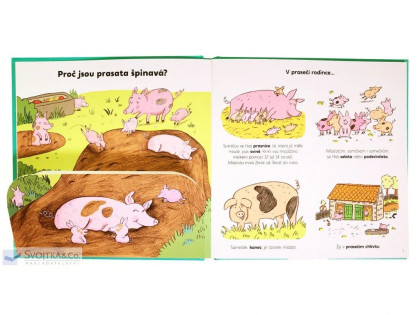 Vysvětli mi... Proč kráva dává mléko?