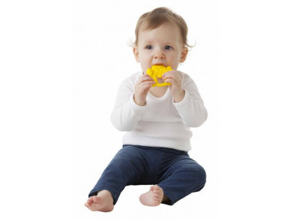 Mini kousátko žirafka Playgro