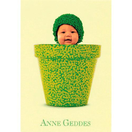 Blahopřání mini Anne Geddes - Zelená v květináči