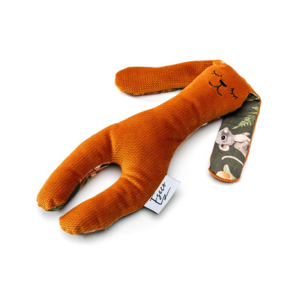 My first bunny usínáček T-Tomi