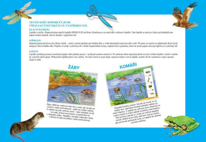 Betexa Začínáme vystřihovat – U vody