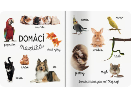 Domácí zvířata První slova