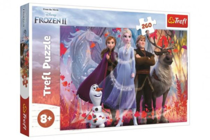 Puzzle Ledové království II/Frozen II 260 dílků