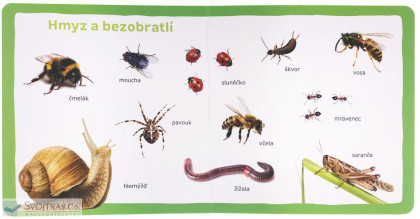Mých prvních 100 zvířat